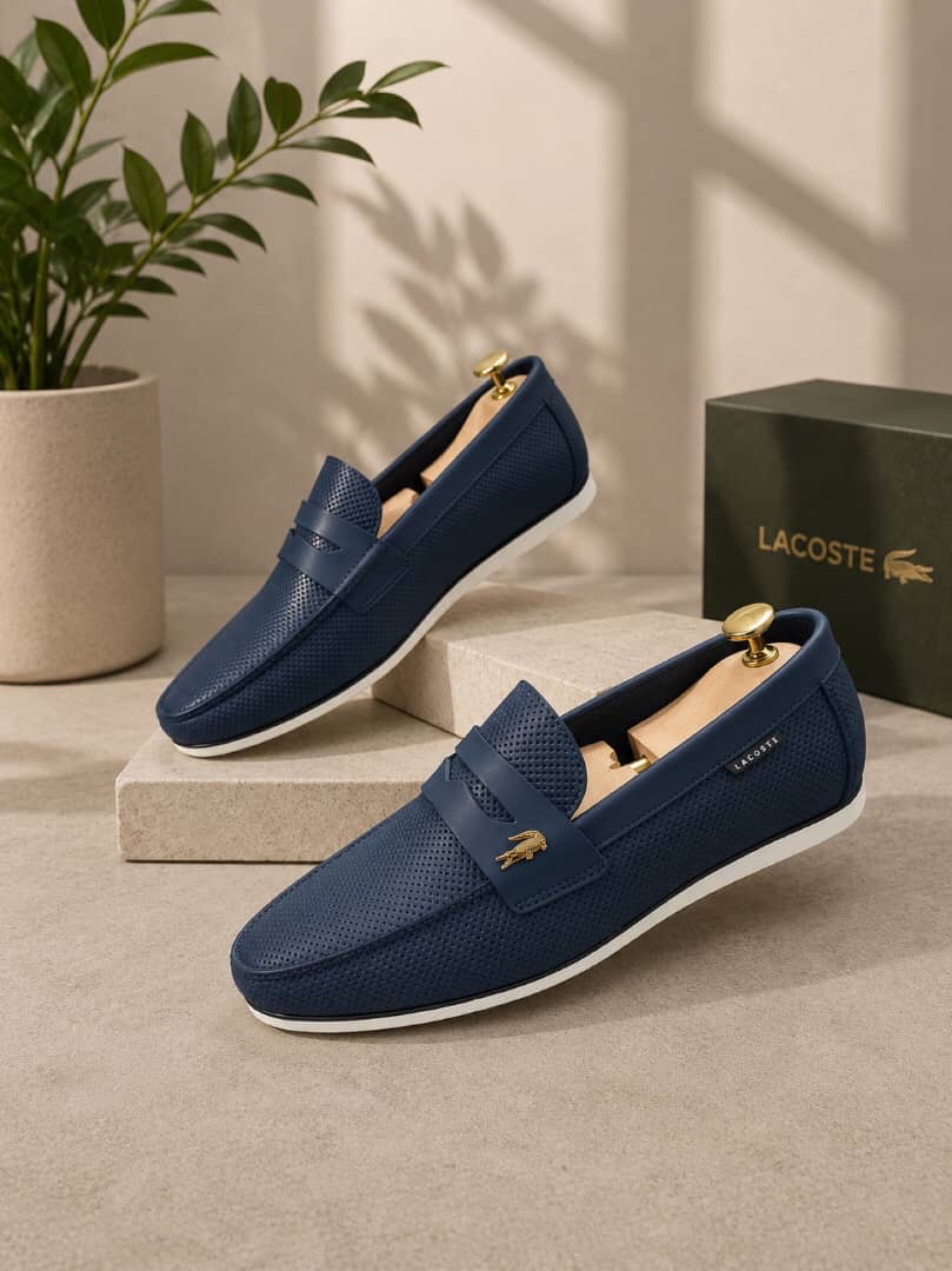 Lacoste 🐊 - 2