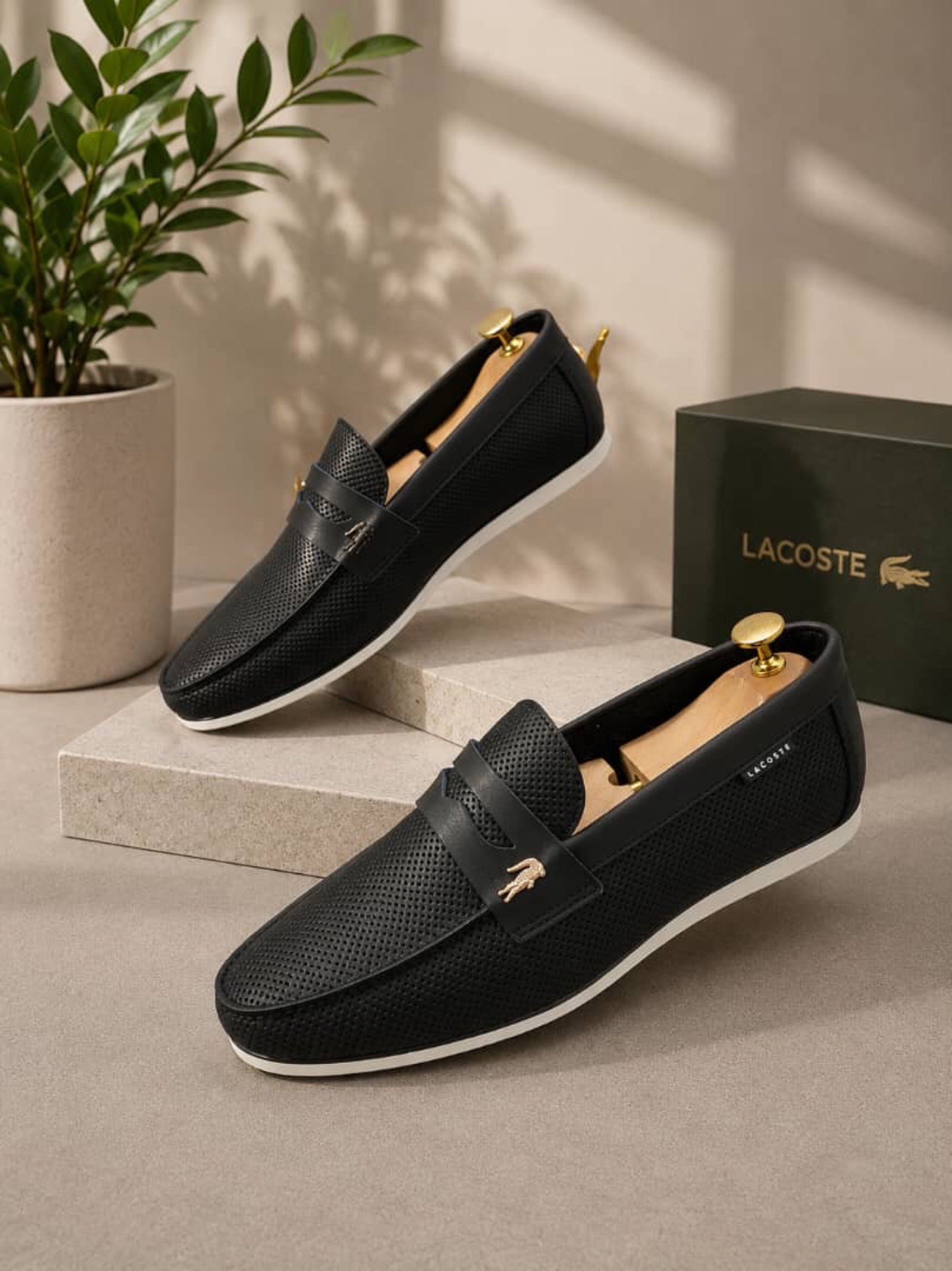 Lacoste 🐊 - 3