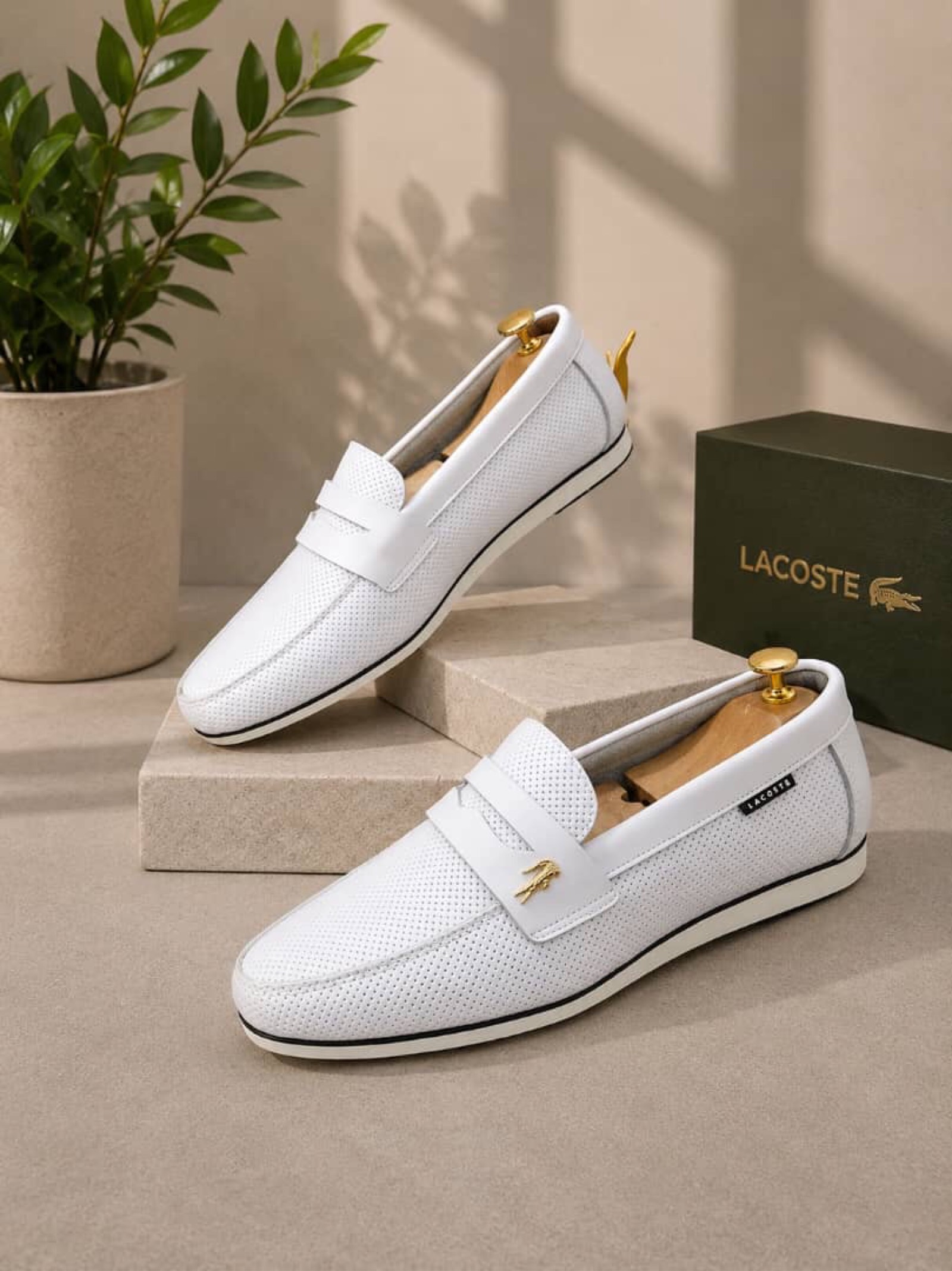 Lacoste 🐊 - 4
