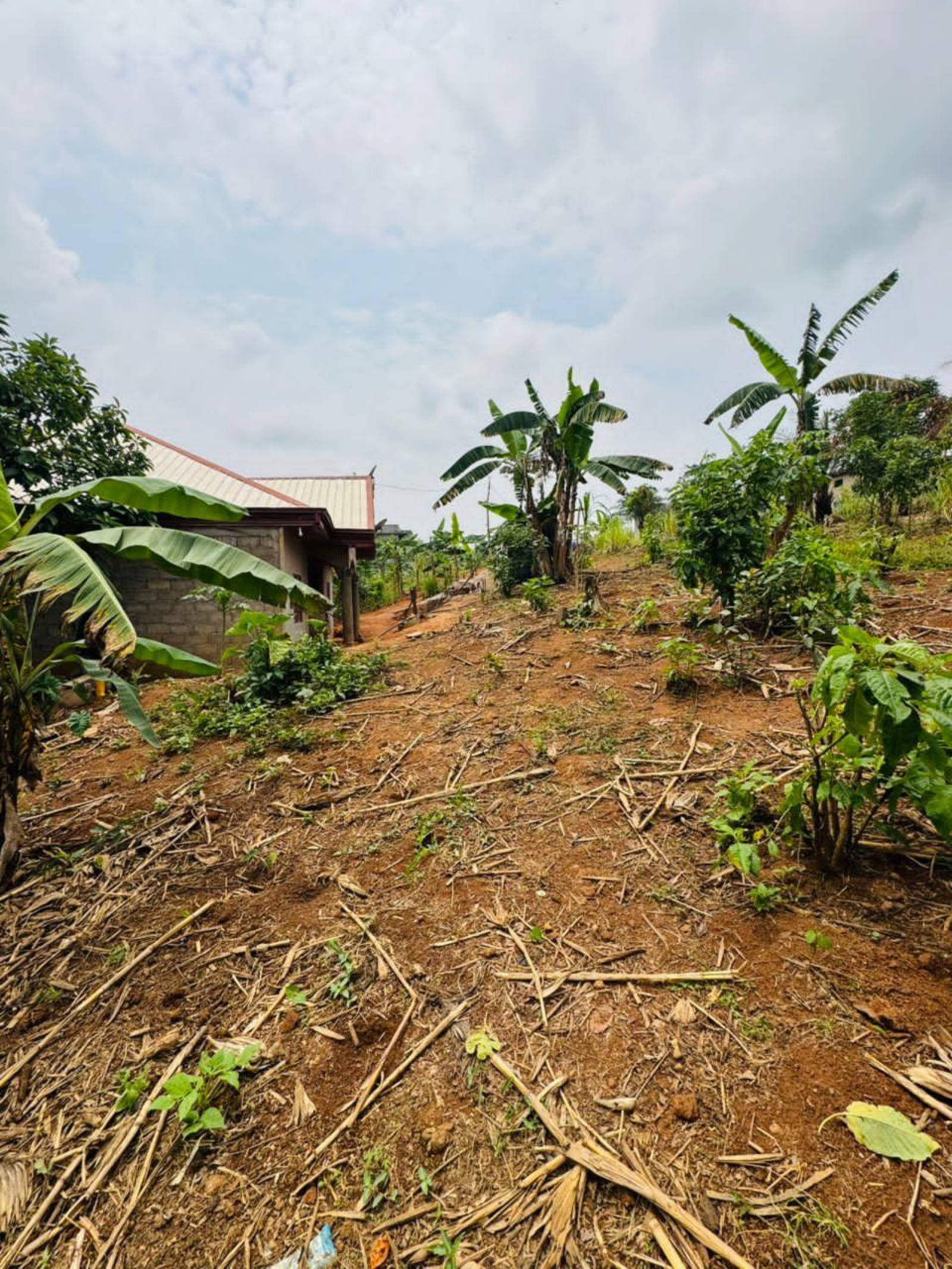 🏡 *400 m2 de Terrain à Vendre – Douala,kaapa ,derrière l'église catholique Kuwait city (Après Bonabéri) 🇨🇲*

Transaction sécurisée et rapide avec *une seule signature requise* !

*Détails :*
- *Localisation* : Douala, kaapa – juste après Bonabéri
- *Superficie* : 400m2 
- *Prix* : 10000 FCFA/m².
- *Documentation* :un signataire.
- *Idéal pour* : Projets immobiliers,  entrepôts,

📞 *Contact & WhatsApp* : +237...

Situé dans une zone en forte croissance de Douala. Une opportunité parfaite pour les investisseurs et promoteurs qui veulent agir vite !

#TerrainAVendre #ImmobilierDouala Kaapa  #InvestirAuCameroun #Bonaberi #FoncierCameroun #Opportunité - 2
