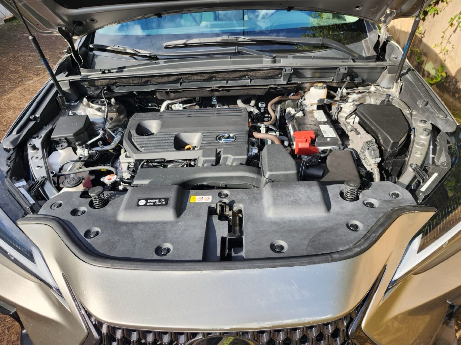 Lexus nx 350 années 2024 - 6